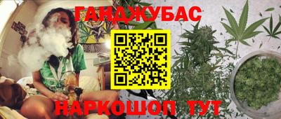 ПСИЛОЦИБИНОВЫЕ ГРИБЫ Коммунар