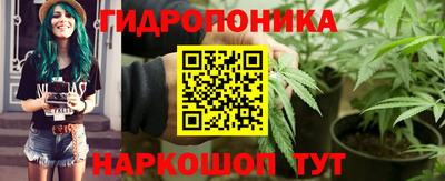 ПСИЛОЦИБИНОВЫЕ ГРИБЫ Коммунар