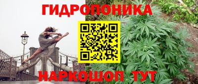 ПСИЛОЦИБИНОВЫЕ ГРИБЫ Коммунар