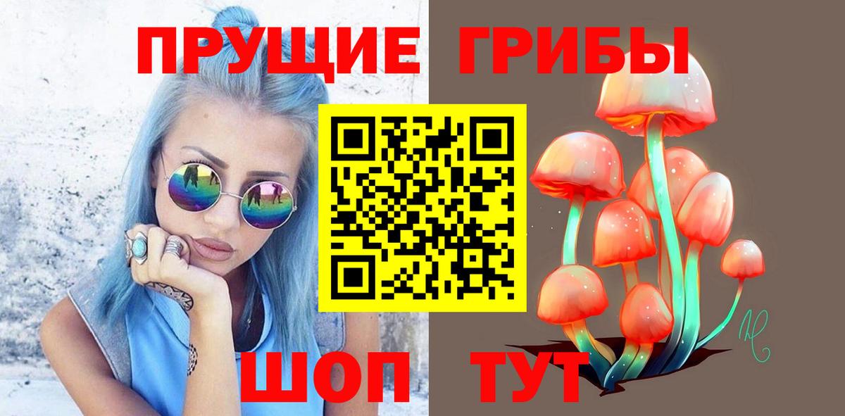 Котельники  Псилоцибиновые грибы Psilocybine cubensis  где продают наркотики  Вход с VPN 
