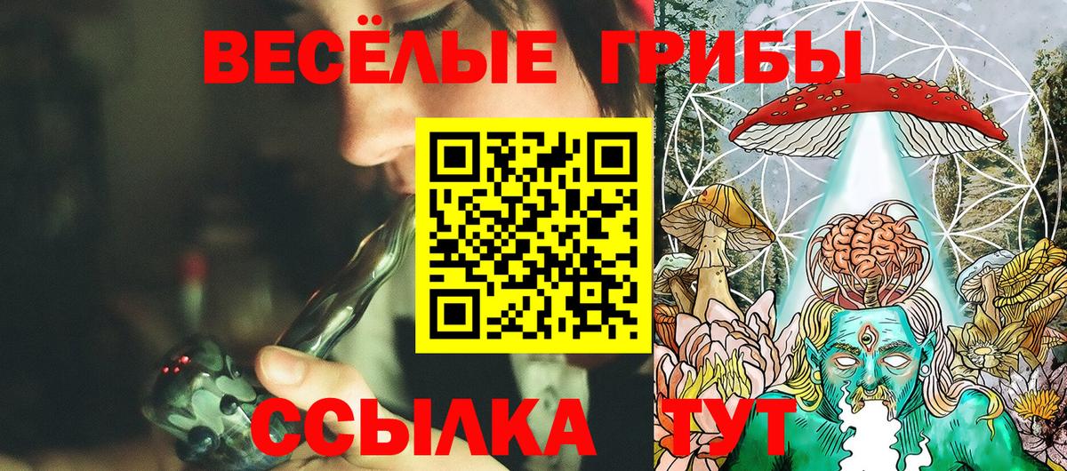 Галлюциногенные грибы мицелий Котельники